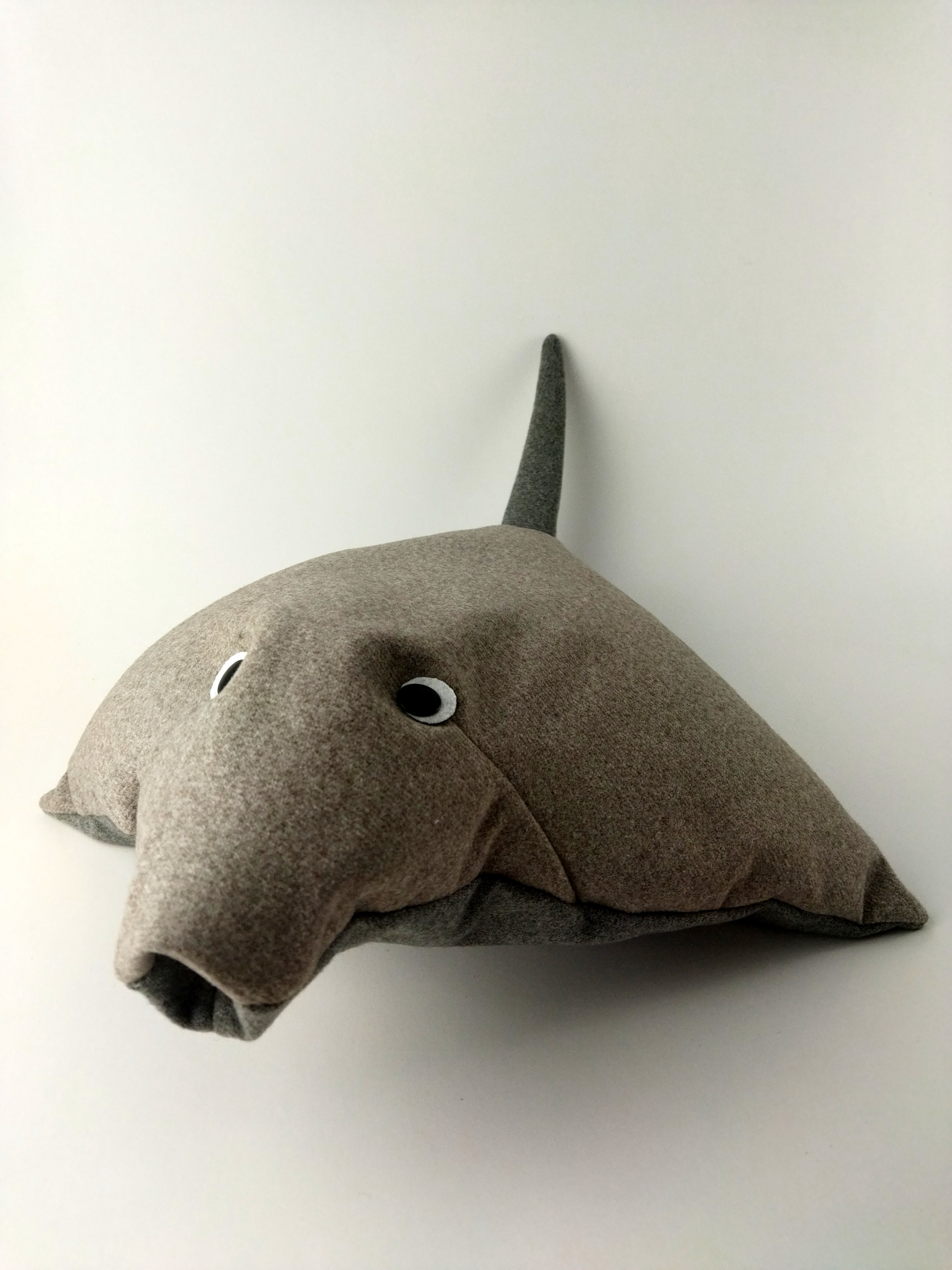 Der süße kleine Rochen Jochen!